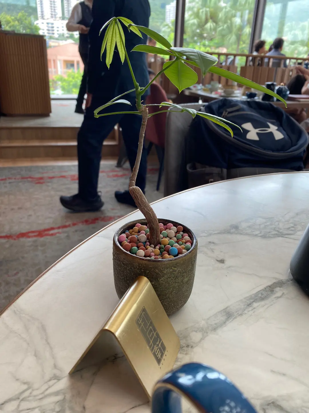 Peony Chinese Restaurant in Discovery Bay Hong Kong 主要照片
